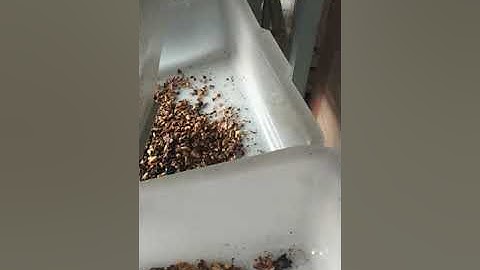 walnut shell and kernel separator  with 2 fans