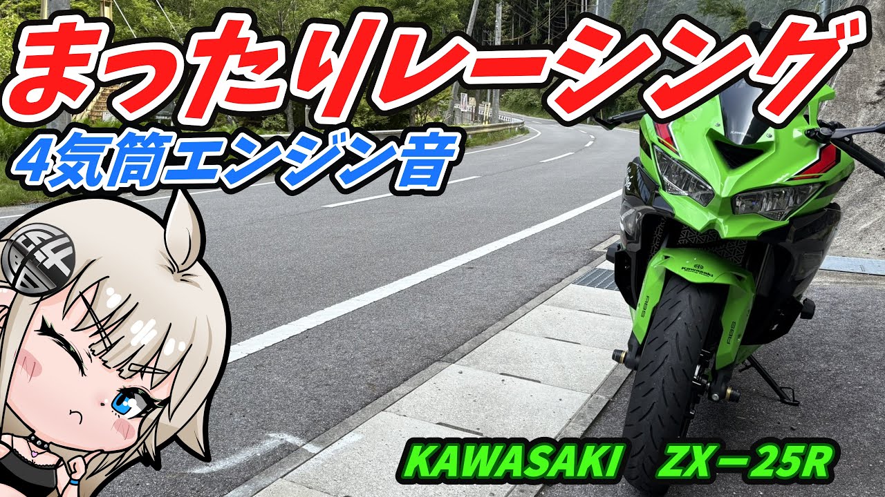 走行動画】田舎道を走る！ゆっくりレーシング 国道301号線 ZX-25R 走行