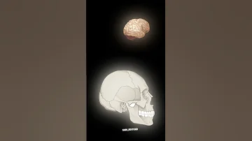 فدایی فدایی ملتفت 