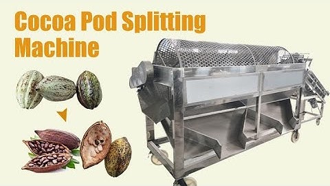 Cocoa pod splitting machine | cocoa pod cracking and peeling