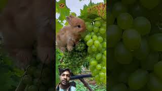 Me At The Zoo |Bilall Cooking