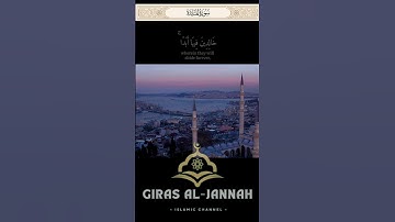 ما تيسر من سورة المائدة للقارئ الشيخ #محمد ايوب #قرآن