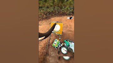 Bức tranh triệu đô của hoạ sĩ voi 😯 #shorts