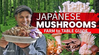 Japanese Mushrooms Farm to Table | Market Guide ★ ONLY in JAPAN
