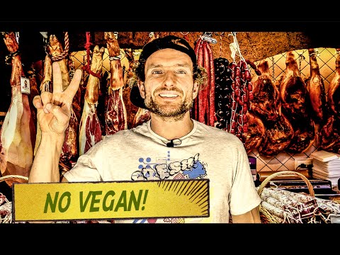 ВЕГАНСТВО – ЭТО ОШИБКА / NO VEGAN