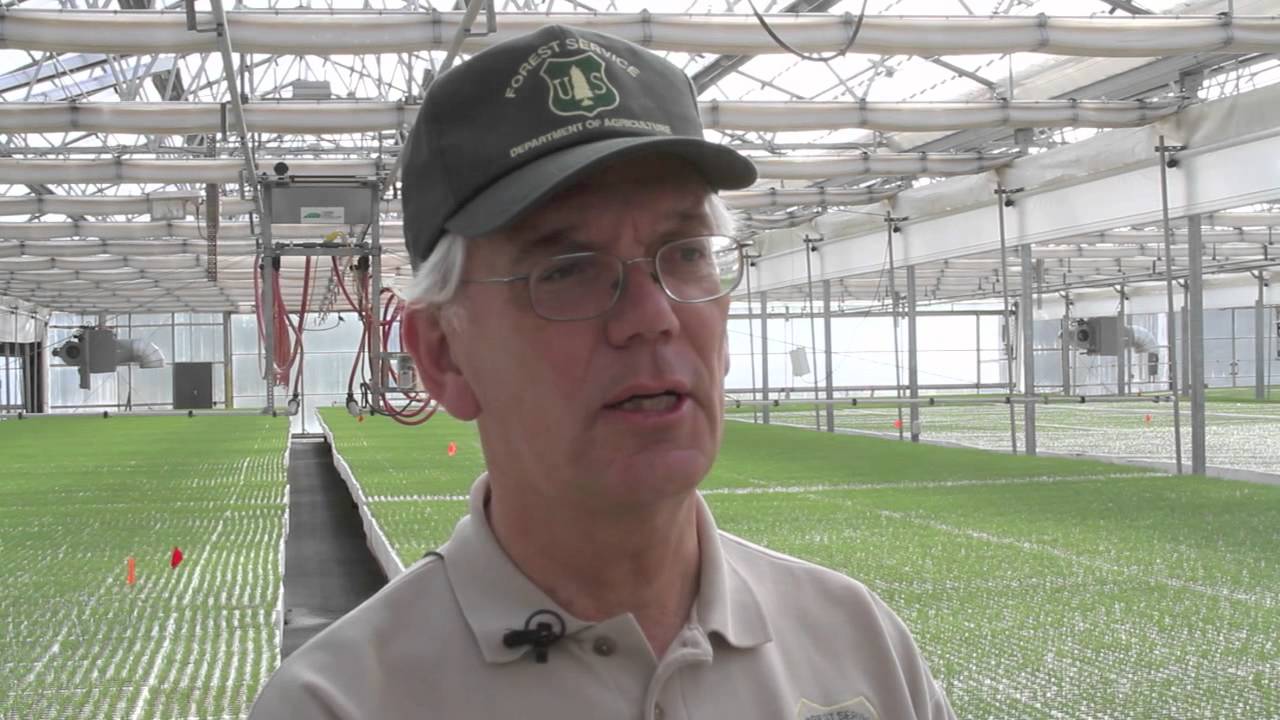 Tree Farm Sale.mov YouTube