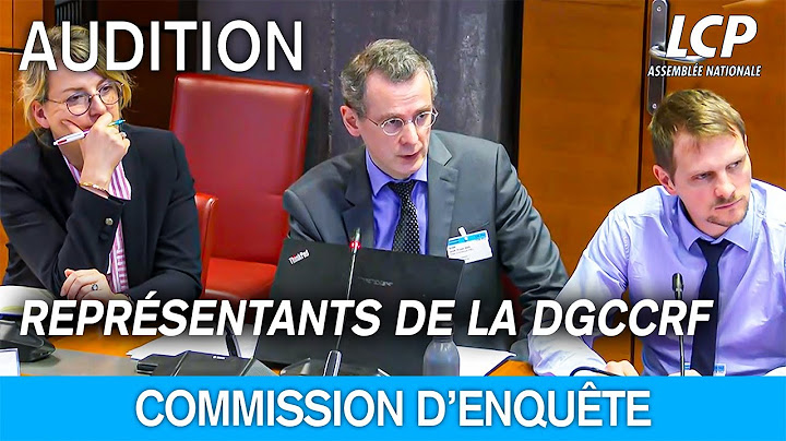 La DGCCRF auditionnée par la commission d’enquête sur les effets psychologiques de Tiktok