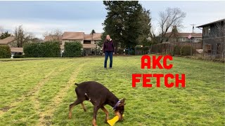 How to Introduce Your Dog to Retrieving a Bumper for AKC Fetch