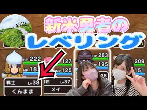 【ドラクエウォーク】新米勇者のレベリング！今の進行状況は？！！