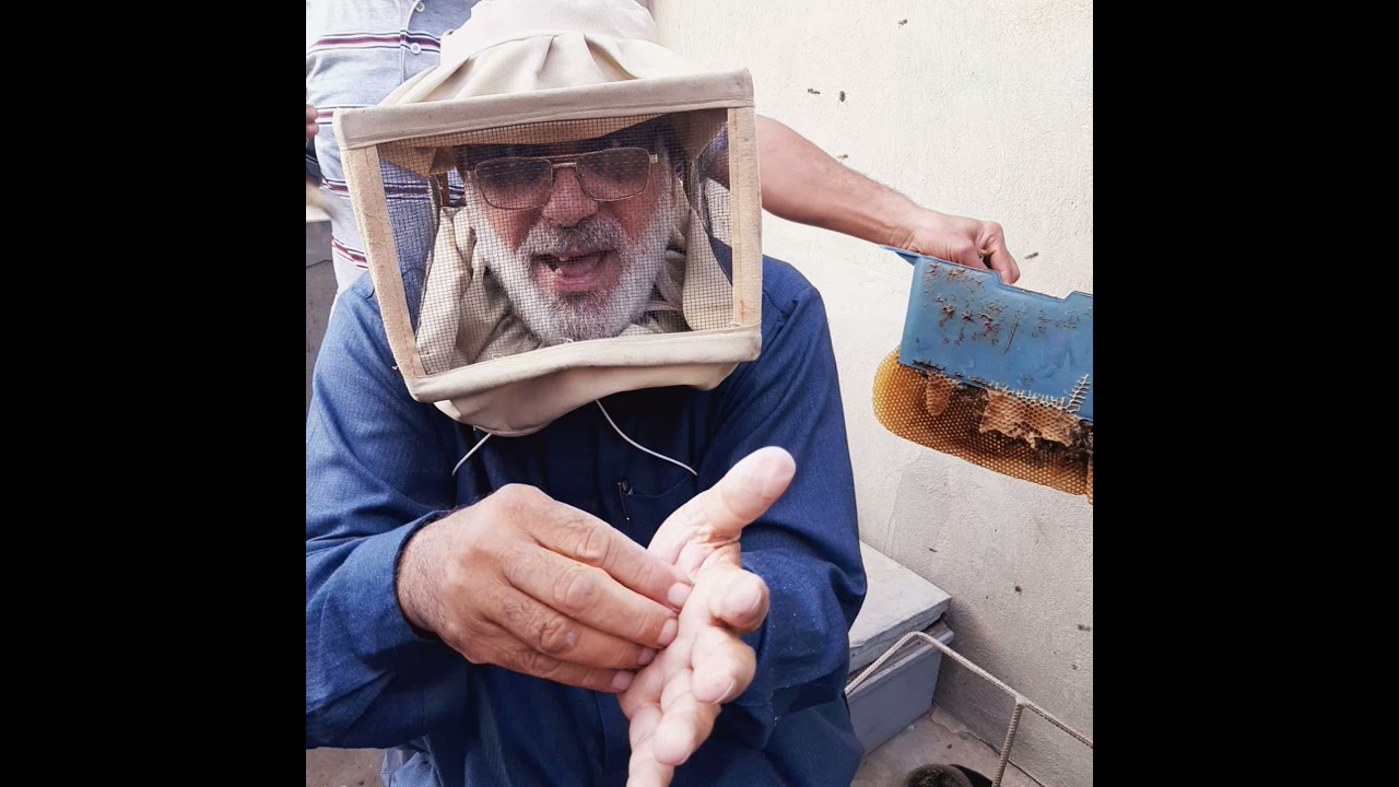 الجزء ٣ الصندوق المتعدد الاغراض الحاج سعيد على