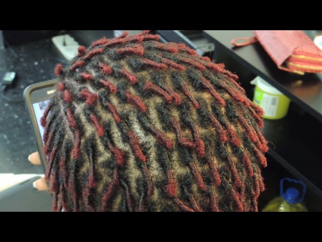 536 - Comb Coils/Starter Locs on EC (Extremely Curly) Natural Hair 
