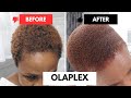 I tried to repair my color treated hair with OLAPLEX SYSTEM unexpected results