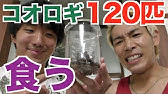 夏なので セミをとって食べてみた Youtube 夏なので セミをとって食べてみた Youtube