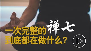 一次完整的禅七到底都在做什么#禅七 #禅宗 #禅修 #佛法 #佛教