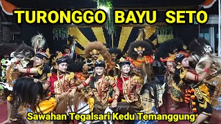 TURONGGO BAYU SETO || SAWAHAN TEGALSARI KEDU TEMANGGUNG LIVE SAWAHAN TEGALSARI KEDU