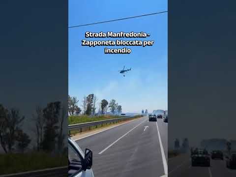 Strada Manfredonia - Zapponeta bloccata per incendio  🚨🔥