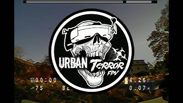 Newbeedrone Savage Bee 1s