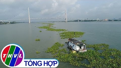 THVL | Chuyện hôm nay: Mực nước sông Mêkông thấp bất thường