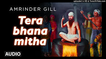 New Punjabi Song Tera Bhana Mitha By Amrinder Gill