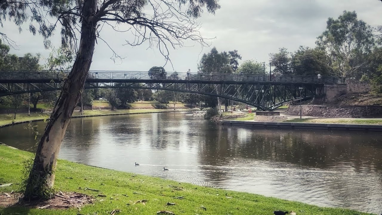 #8 Around Adelaide University, Train Journeys & Architectural Beauty | 2026 Series