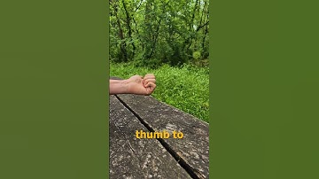 How to Hitchhike #comedy