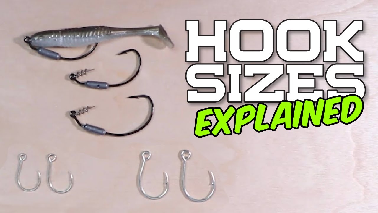 coarse fishing hook lengths Understanding Hook Sizes in Fly Fishing: A Beginner's Guide  Big Y Fly Co