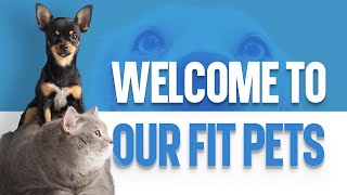 Welcome To The Our Fit Pets Channel by OurFitPets 102 views 1 year ago 3 minutes, 21 seconds