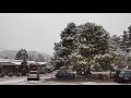 Πυκνή χιονόπτωση στον Διόνυσο 16/01/2021 10:15 (4K)