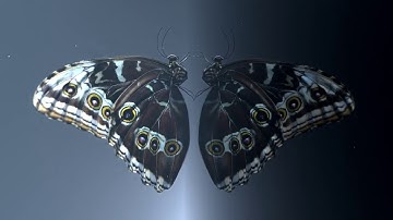 ISOCELL Bright HM1  Fine details with 108Mp image sensor   Samsung