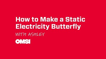 How to Make a Static Electricity Butterfly