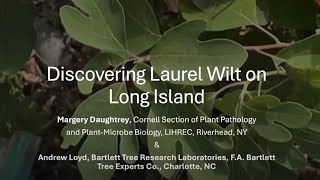 Laurel Wilt in New York