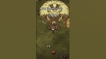 Should YOU Fight Bearger?! DST OP #shorts