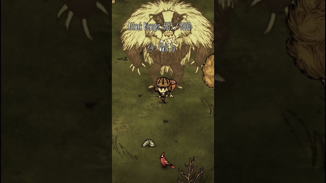 Should YOU Fight Bearger?! DST OP 