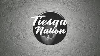 Dj Tiesqa Skank Basics 2 (Riddim Edition )