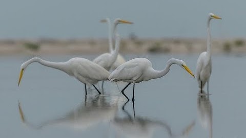 Get your Photography Published in Magazines