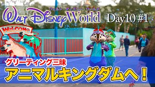 ウォルト・ディズニー・ワールド アニマルキングダム タンクトップ ミッキー アニマルキングダムヴィンテージディズニータンクトップS 黒