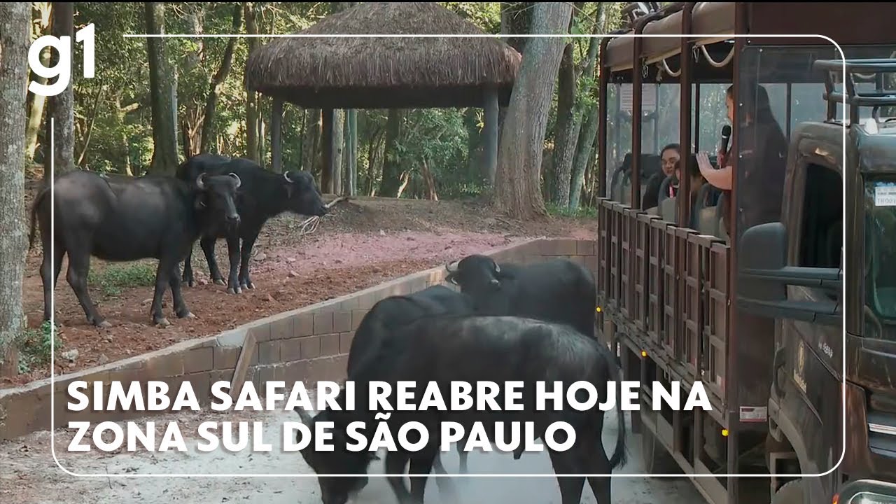 Simba Safari de São Paulo é reaberto hoje #g1 - YouTube