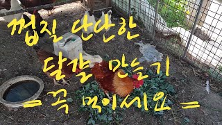 ♡30 껍질 단단한 달걀 만들기ㅡ이걸 꼭 닭에게 먹이세요