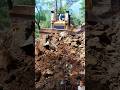 Dev Bulldozer Orman Yolunda