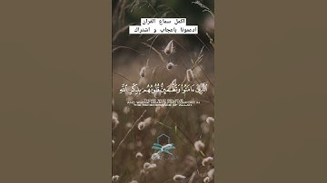 قران كريم| تلاوة خاشعة ( ألا بذكر الله تطمئن القلوب) #قران_كريم #قرآن #quran