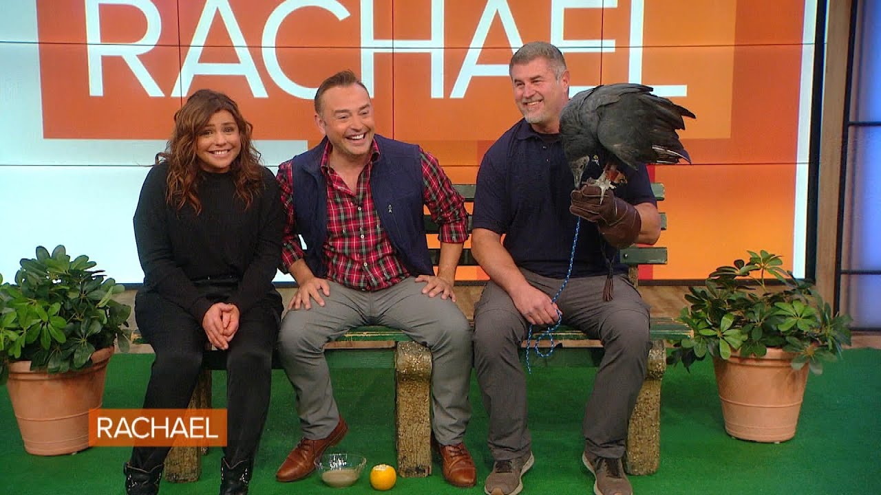 Meet 2 Animals That Love To Eat: Morticia the Black Vulture + Beef the African Bullfrog | Rachael Ray Show