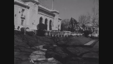 News Item (91d50694-b3d2-accd-38ce-a3a258ba978a)