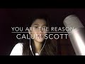 You Are The Reason - Calum Scott (cover)