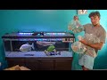 I Bought EVERY FISH In The AQUARIUM! (AGAIN)