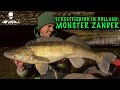 MONSTER ZANDER in streetfishing | Adventures in Netherland