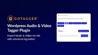 Gotagger - The Most Powerful Audio & Video Tag Editor WordPress Plugin screenshot 5