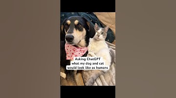 Asking ChatGPT what my dog and cat would look like as humans ❤️ #funnydogvideos #funnycatvideos