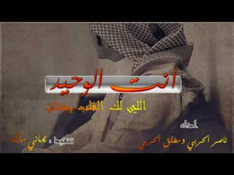 شيلة انت الوحيد اللي لة القلب يشتاق 