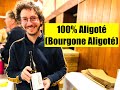 Dgustation vin  aligot  laurent bourtourault  domaine la varenne  dgustation  laveugle