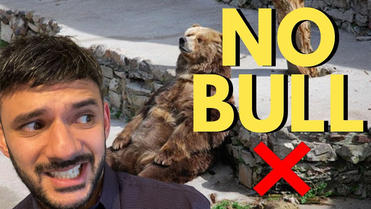 NO MORE BULL YouTube